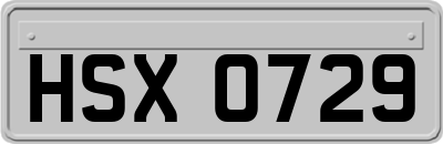 HSX0729