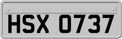 HSX0737