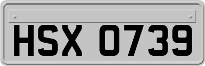 HSX0739