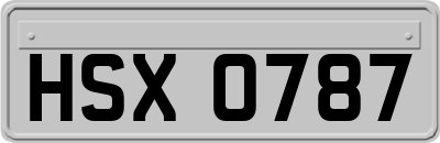 HSX0787