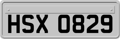 HSX0829