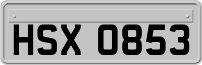 HSX0853