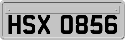 HSX0856