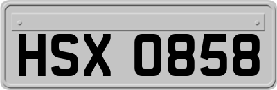 HSX0858