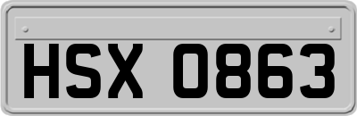 HSX0863