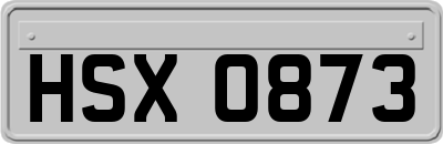 HSX0873