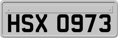 HSX0973