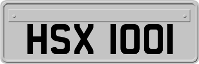 HSX1001