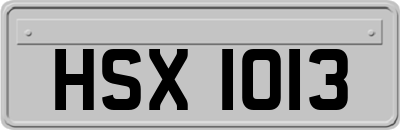 HSX1013