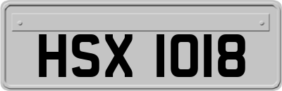 HSX1018
