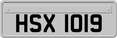 HSX1019