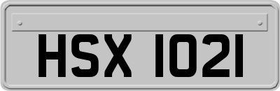 HSX1021