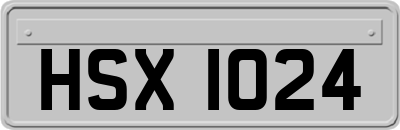 HSX1024