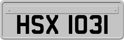 HSX1031