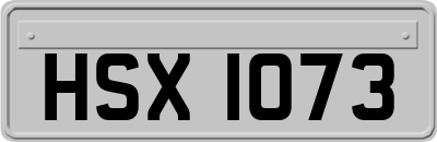 HSX1073