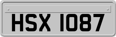 HSX1087