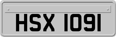 HSX1091