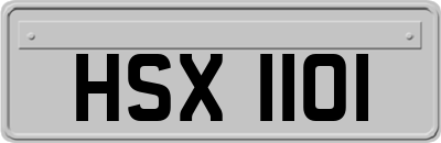 HSX1101