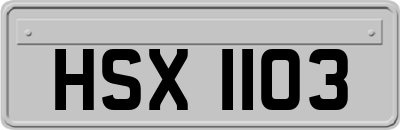 HSX1103
