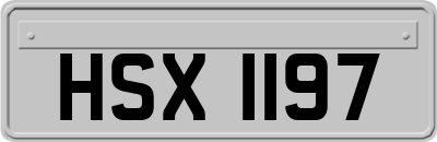 HSX1197