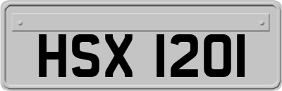 HSX1201