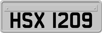 HSX1209