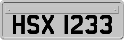 HSX1233