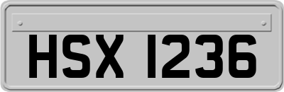 HSX1236