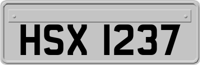 HSX1237