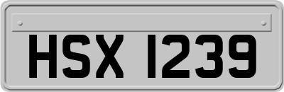 HSX1239