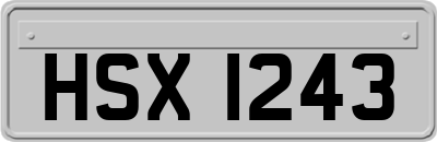 HSX1243