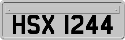 HSX1244