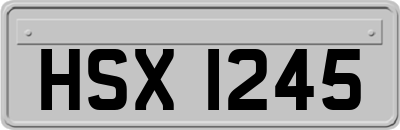 HSX1245