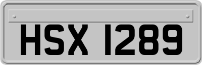 HSX1289