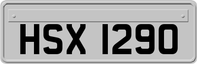 HSX1290