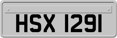 HSX1291