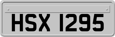 HSX1295