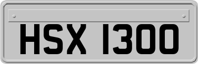 HSX1300