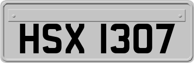 HSX1307