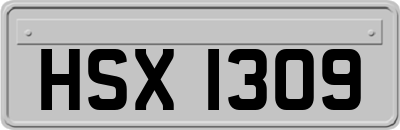 HSX1309
