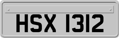 HSX1312