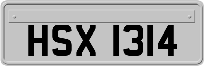 HSX1314