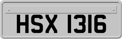 HSX1316