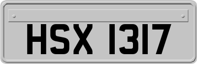 HSX1317