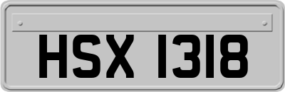 HSX1318