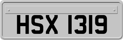 HSX1319