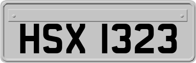 HSX1323