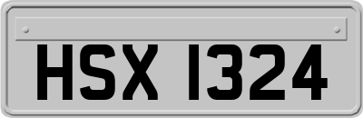 HSX1324