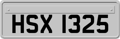 HSX1325