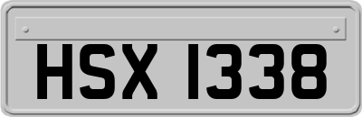 HSX1338